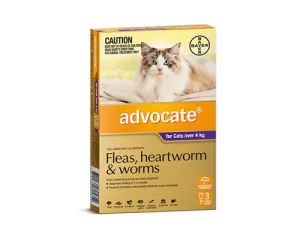 ADVOCATE PURPLE CATS > 4KG