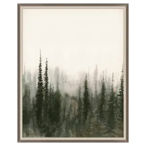 Alpine Wilderness