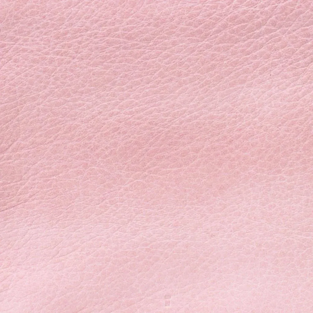 Castle in The Sky Leather bag: Dusky Pink
