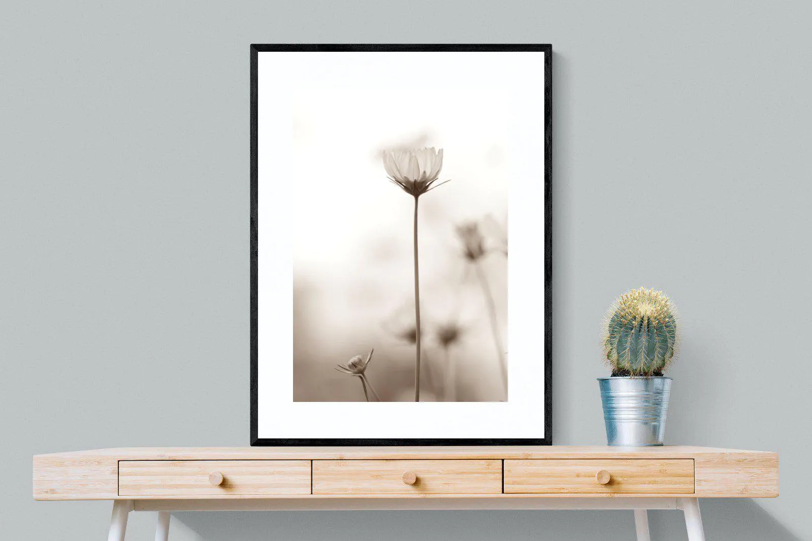 Cosmos