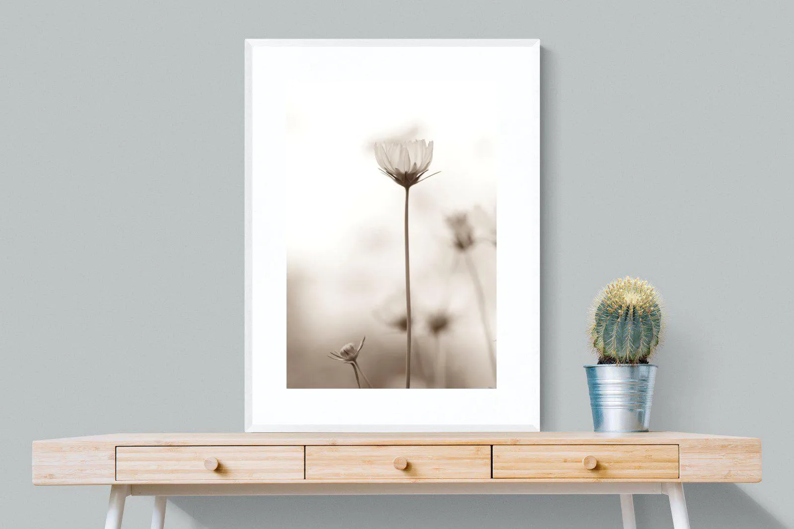 Cosmos