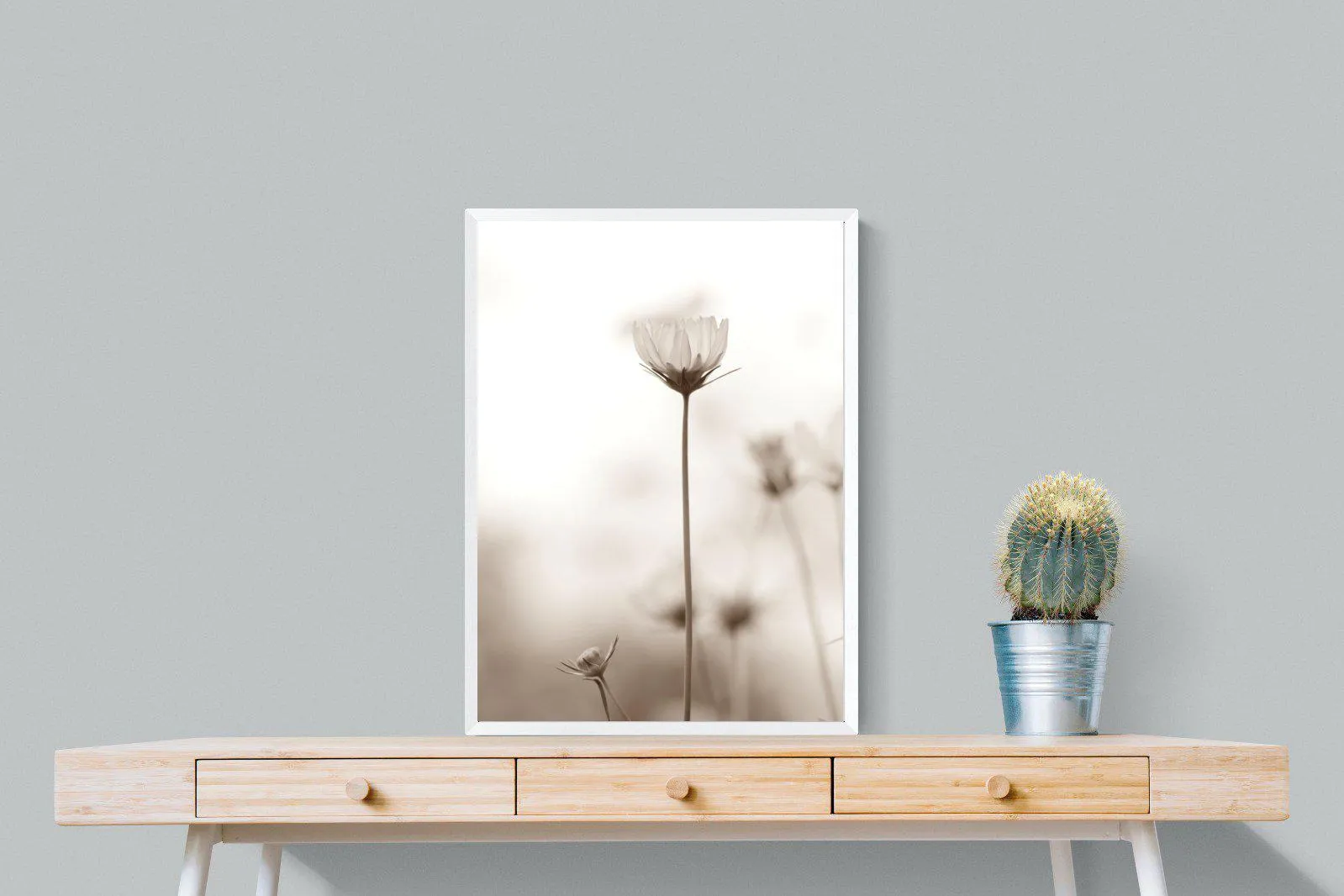 Cosmos