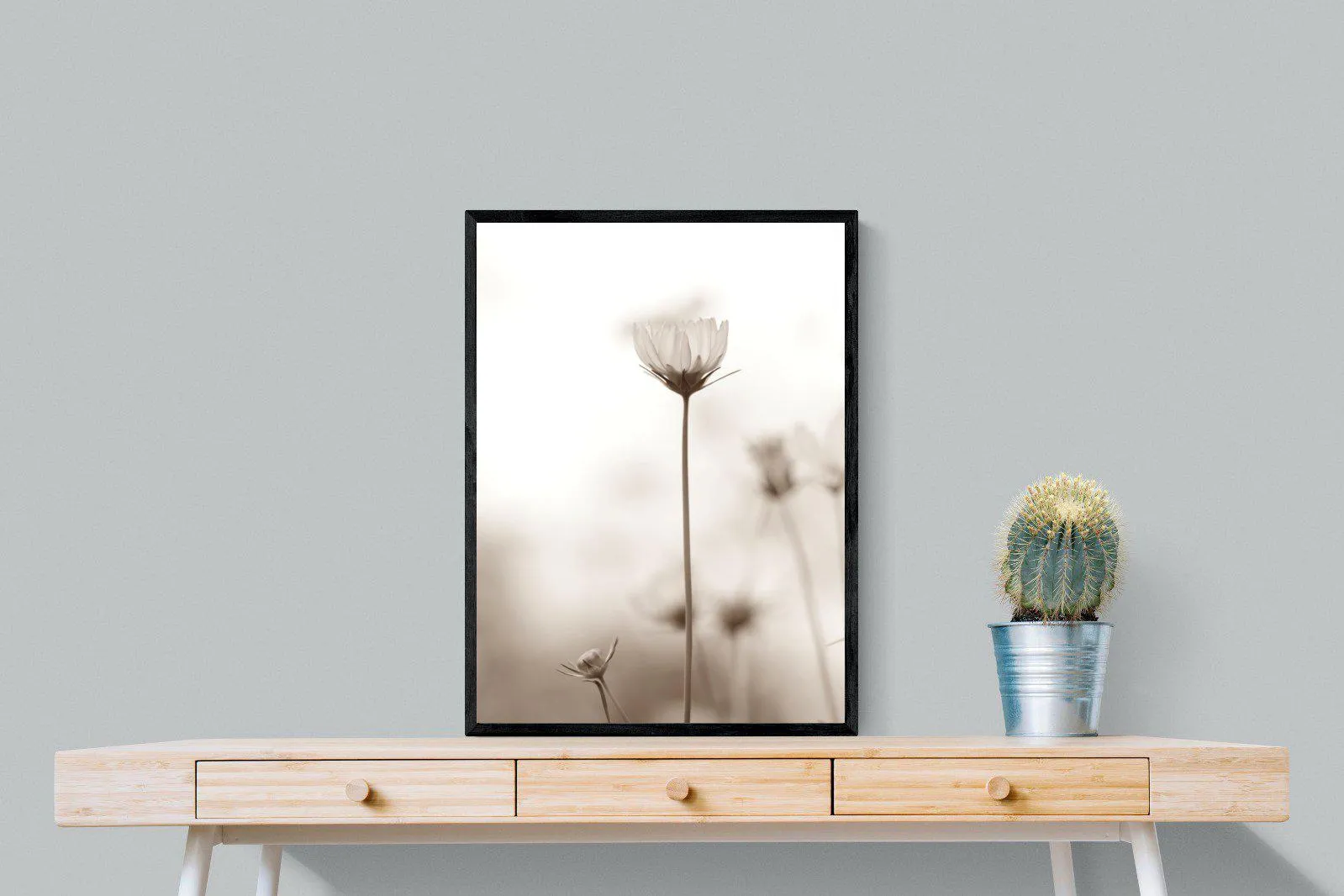 Cosmos