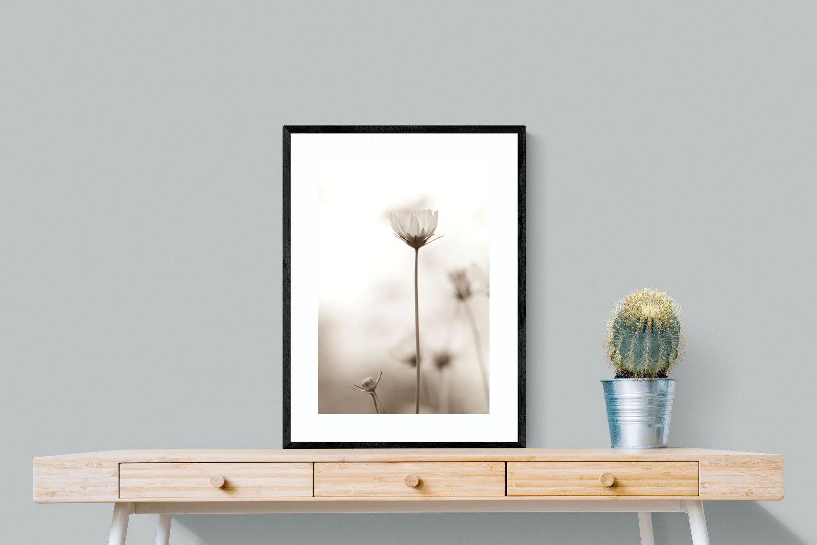 Cosmos