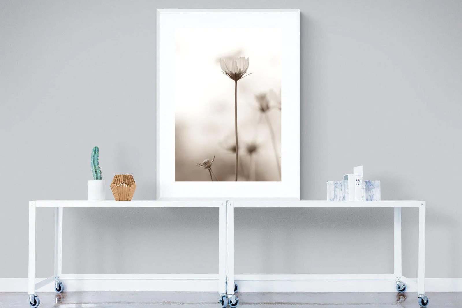 Cosmos