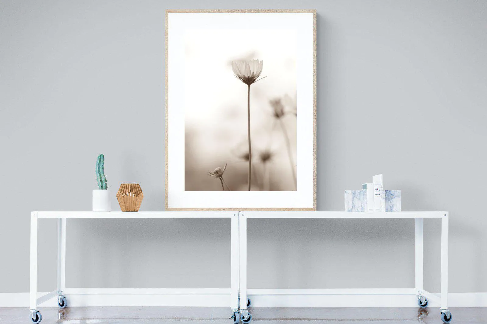 Cosmos