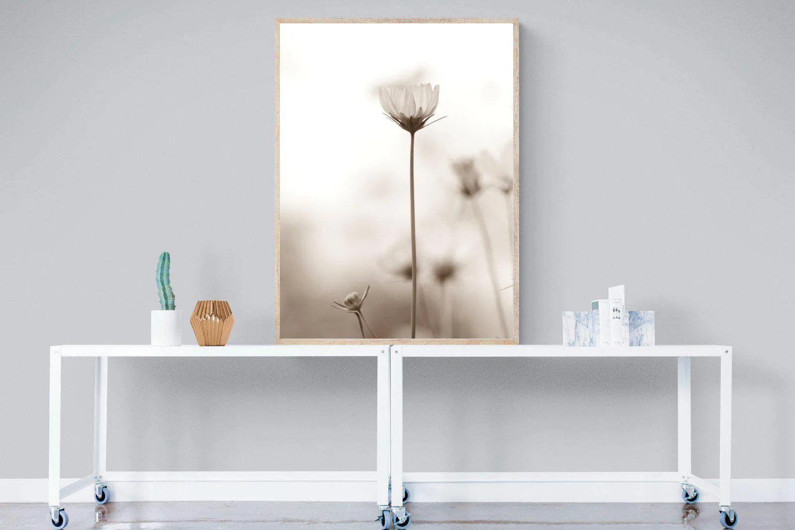 Cosmos