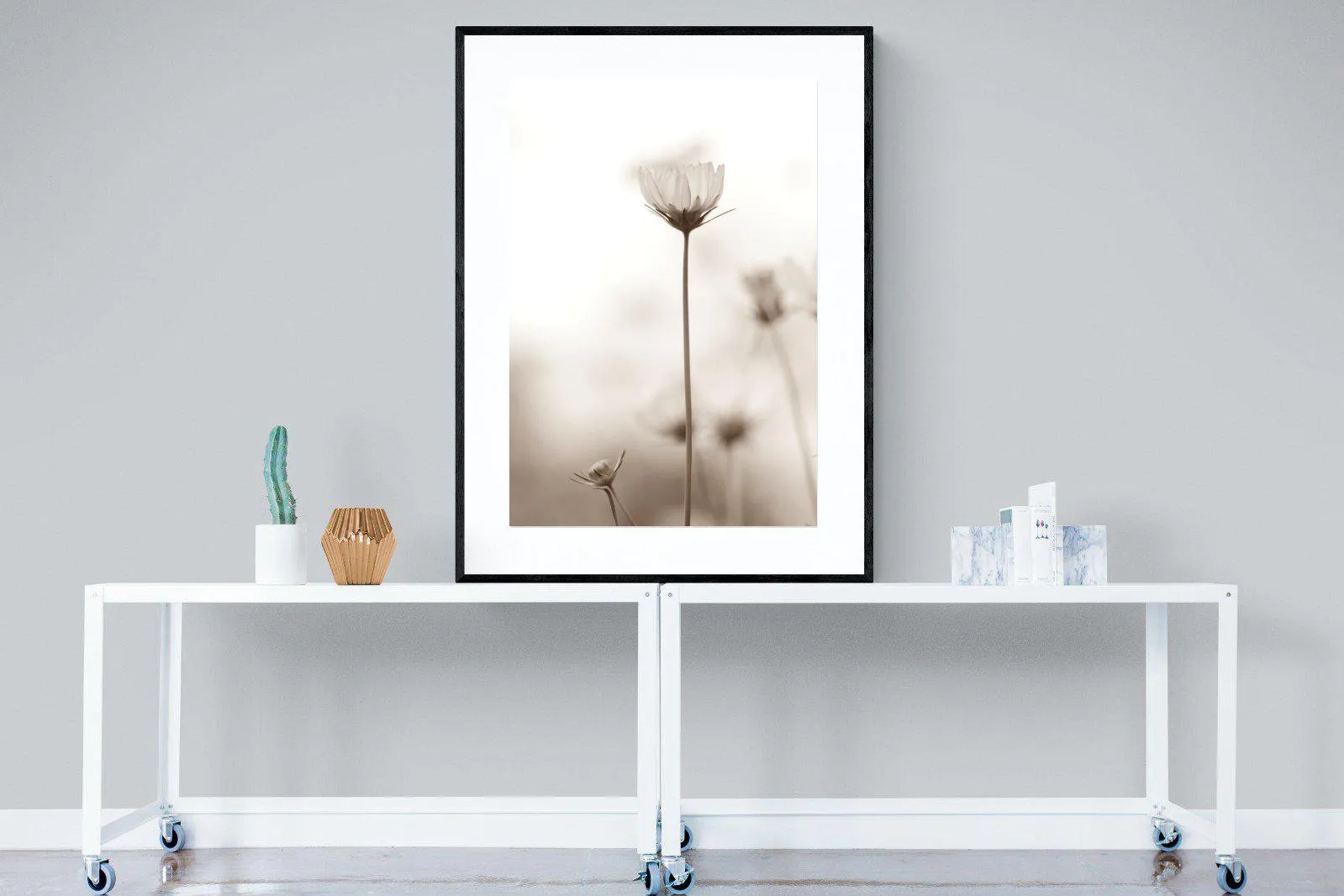 Cosmos