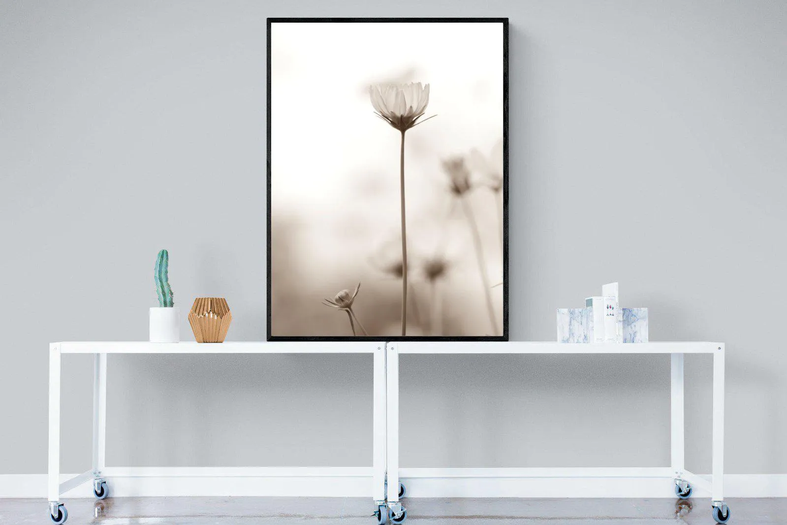 Cosmos