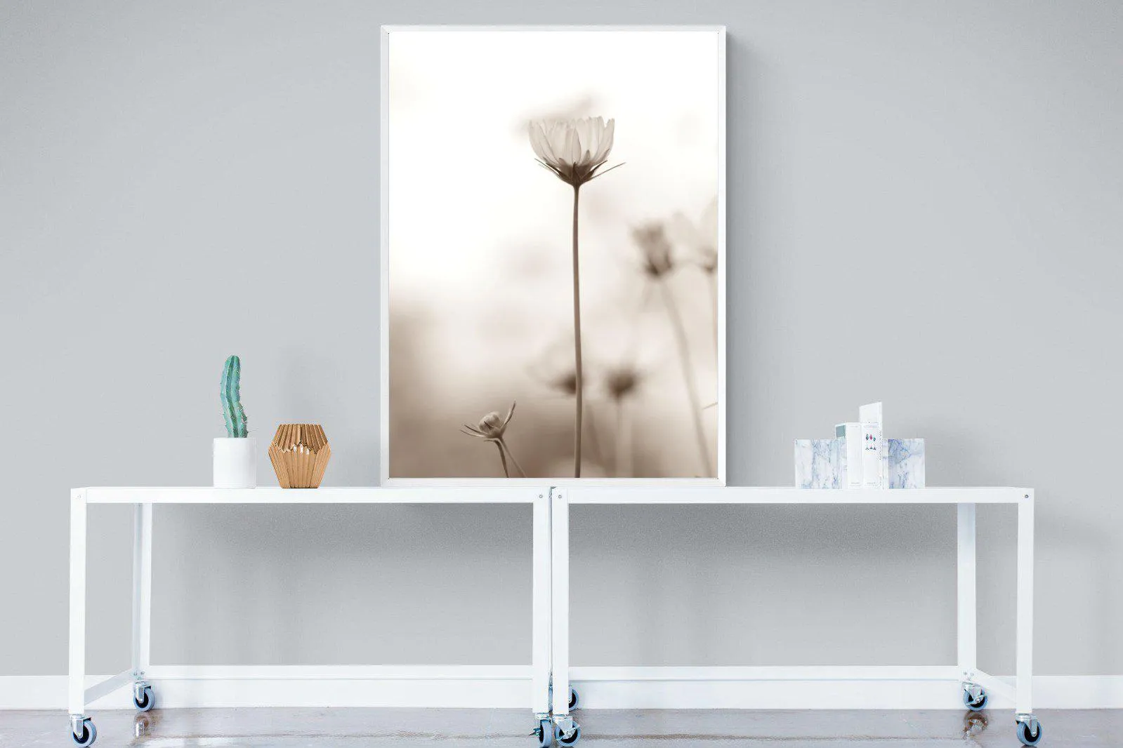 Cosmos