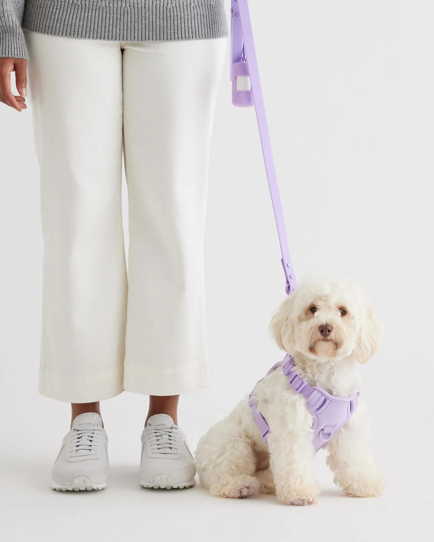 Dog Harness Walk Kit