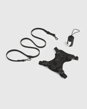 Dog Harness Walk Kit