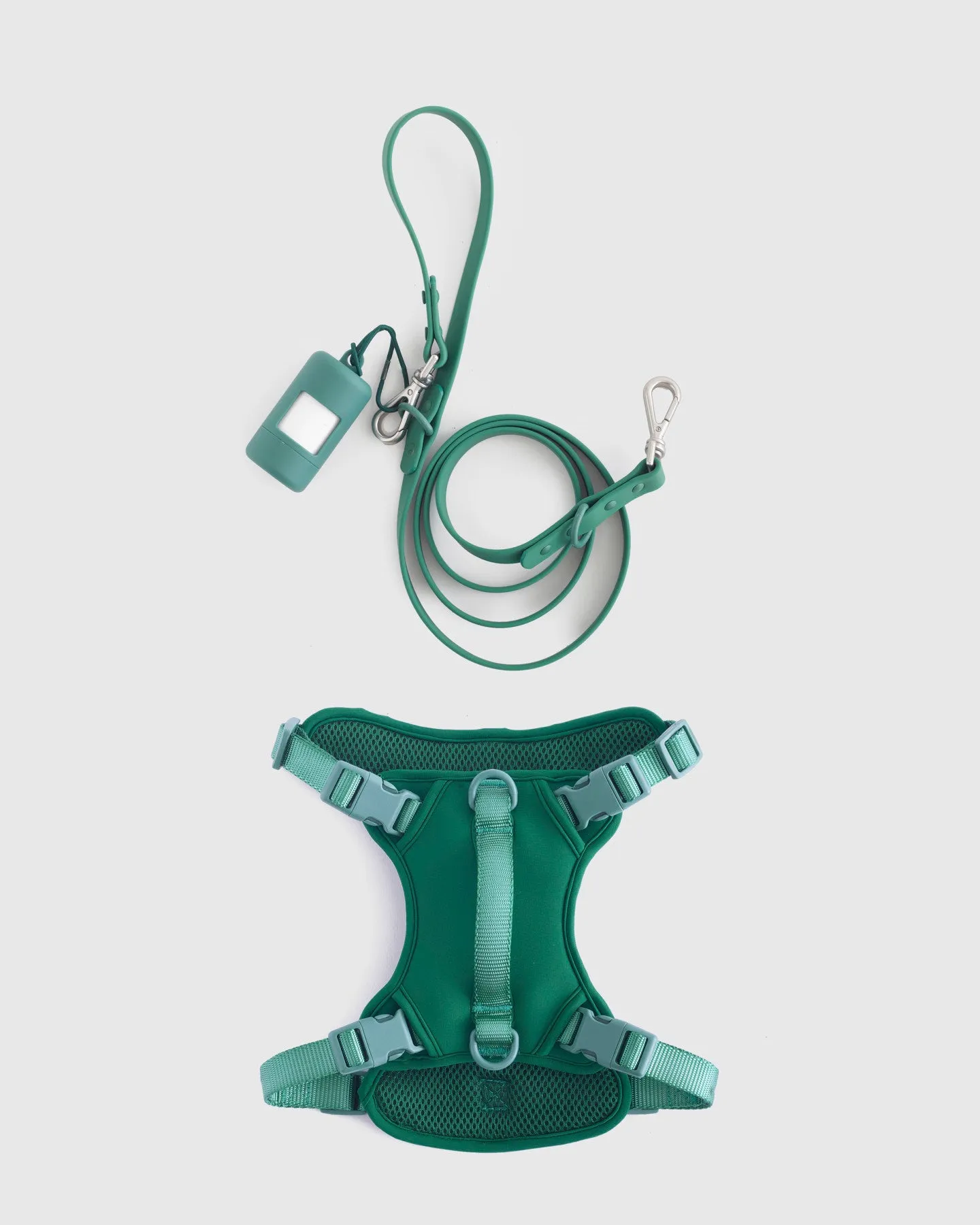 Dog Harness Walk Kit