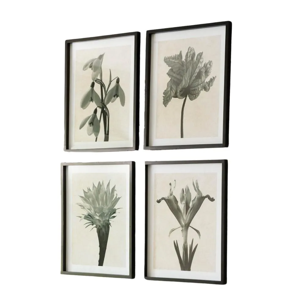 Floral Framed Monochrome Wall Art - Set of Four