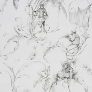 Fontibre Barbary Toile Charcoal NCW4205-05