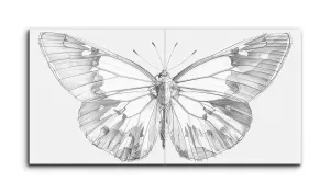 Intricate Monochrome Butterfly Illustration