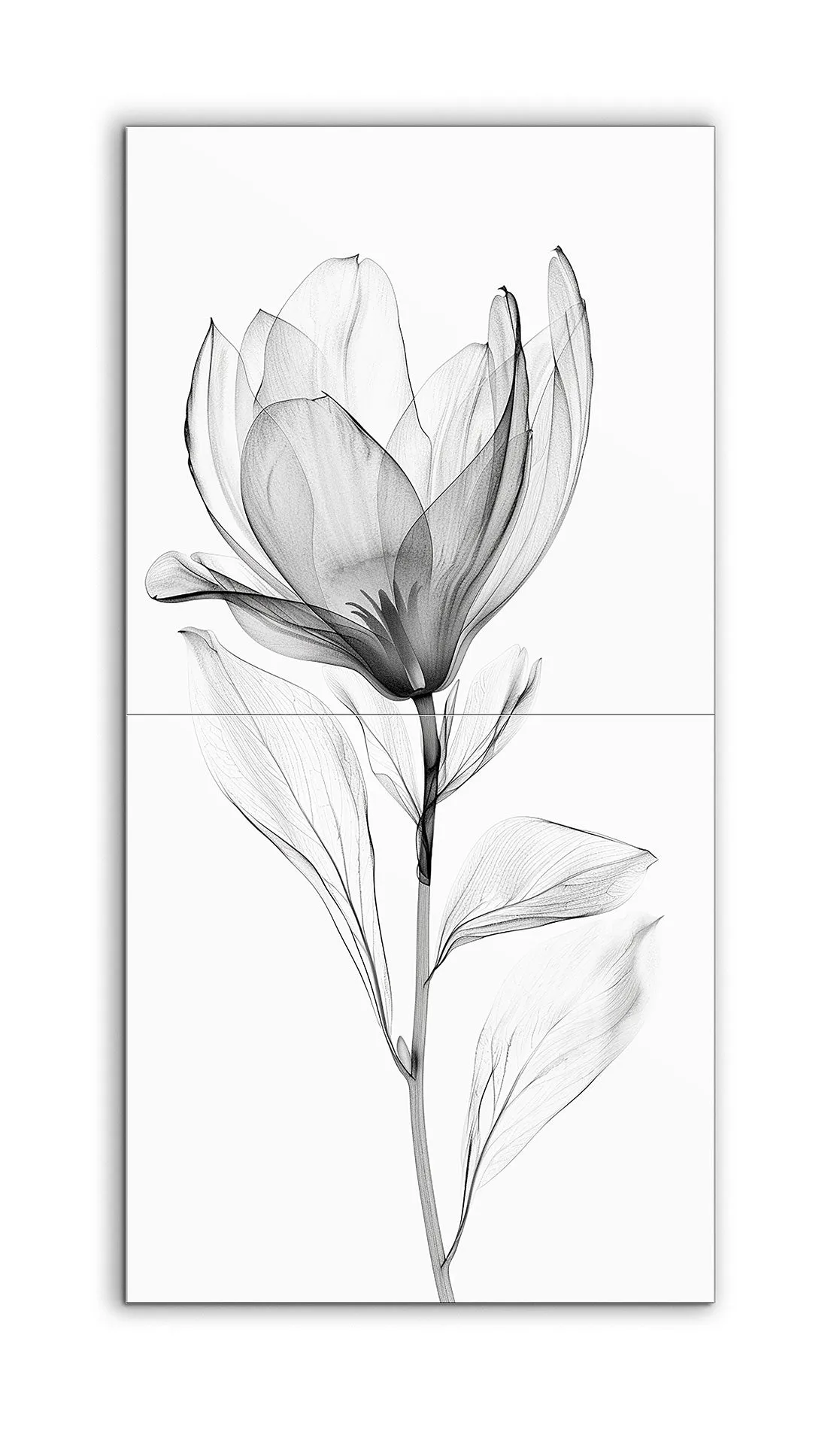 Magnolia Whispers: Monochrome Elegance