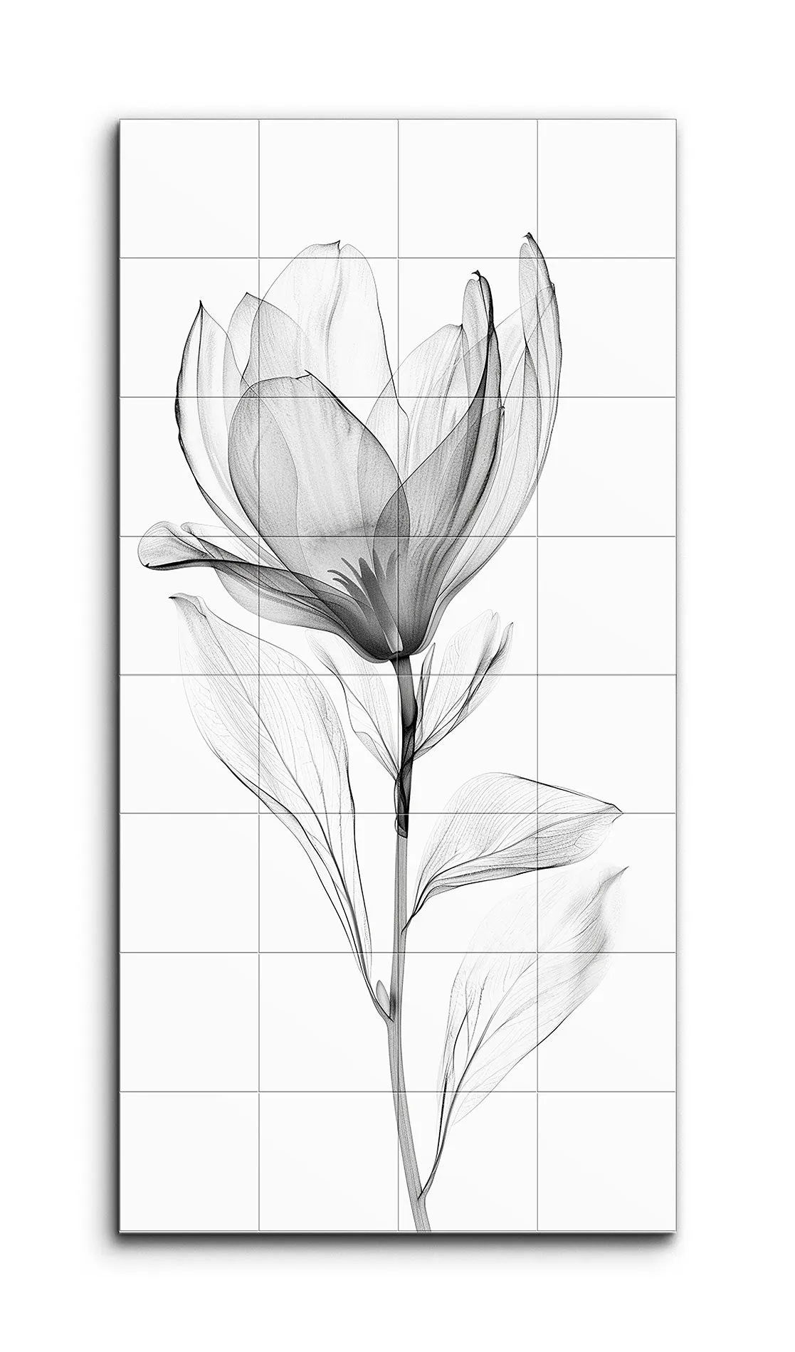 Magnolia Whispers: Monochrome Elegance