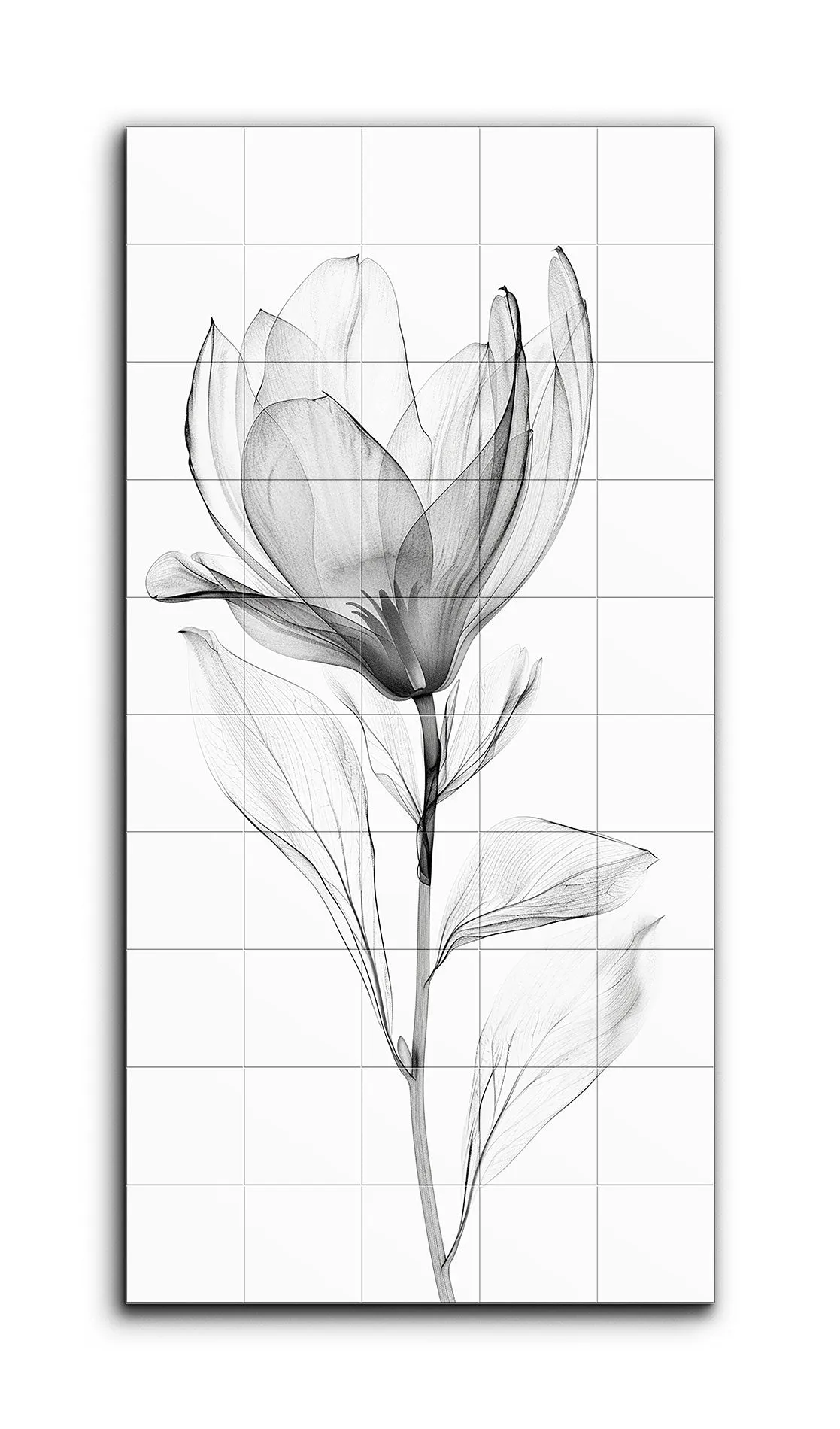 Magnolia Whispers: Monochrome Elegance