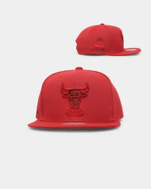 Mitchell & Ness Chicago Bulls 'Monochrome' Original Fit Snapback Red
