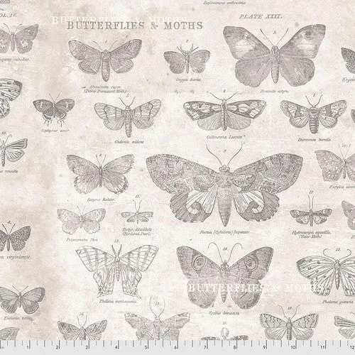 Monochrome - Butterflies in Parchment