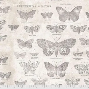Monochrome - Butterflies in Parchment