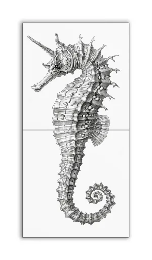 Monochrome Seahorse Elegance
