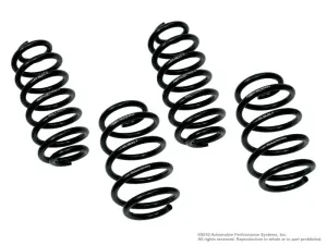 NEUSPEED Lowering Springs Kit | Race • PQ35 FWD