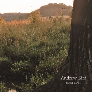 Noble Beast CD