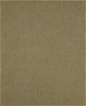 Paloma R1129 101 Lichen Rug