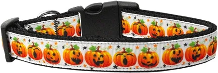 Pumpkin Parade Nylon Dog Collar Xs