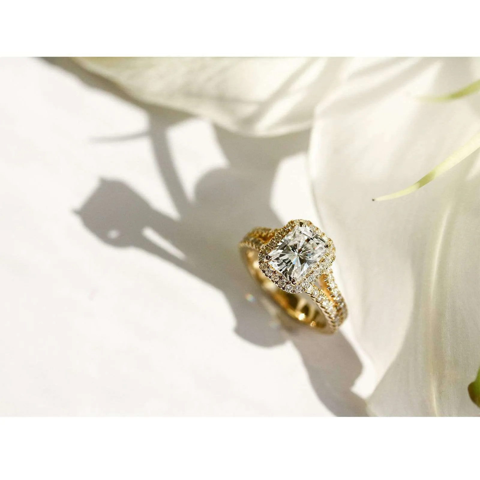 Radiant 8x6 Halo Double Band Ring