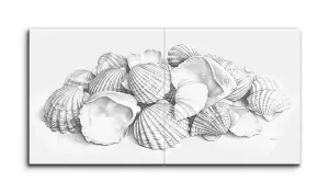 Seashell Symphony: Monochrome Diptych