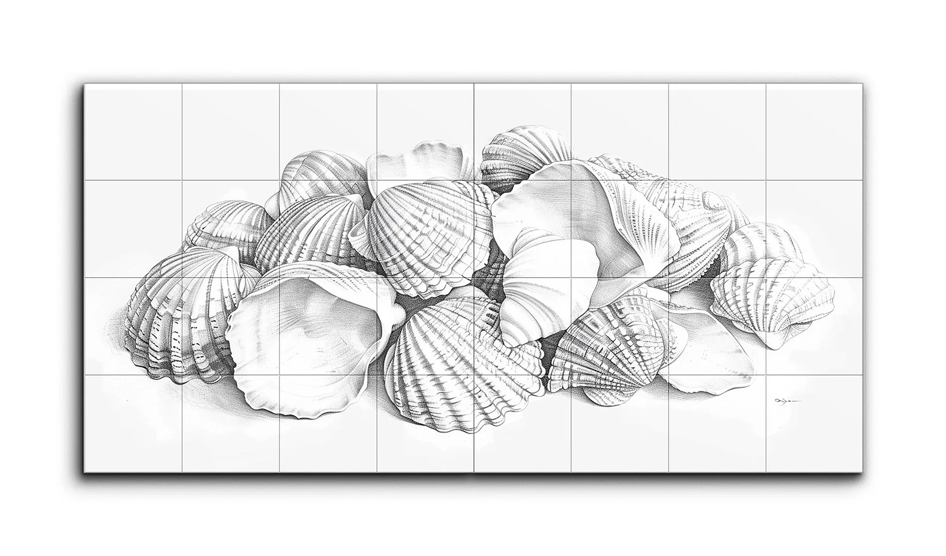 Seashell Symphony: Monochrome Diptych