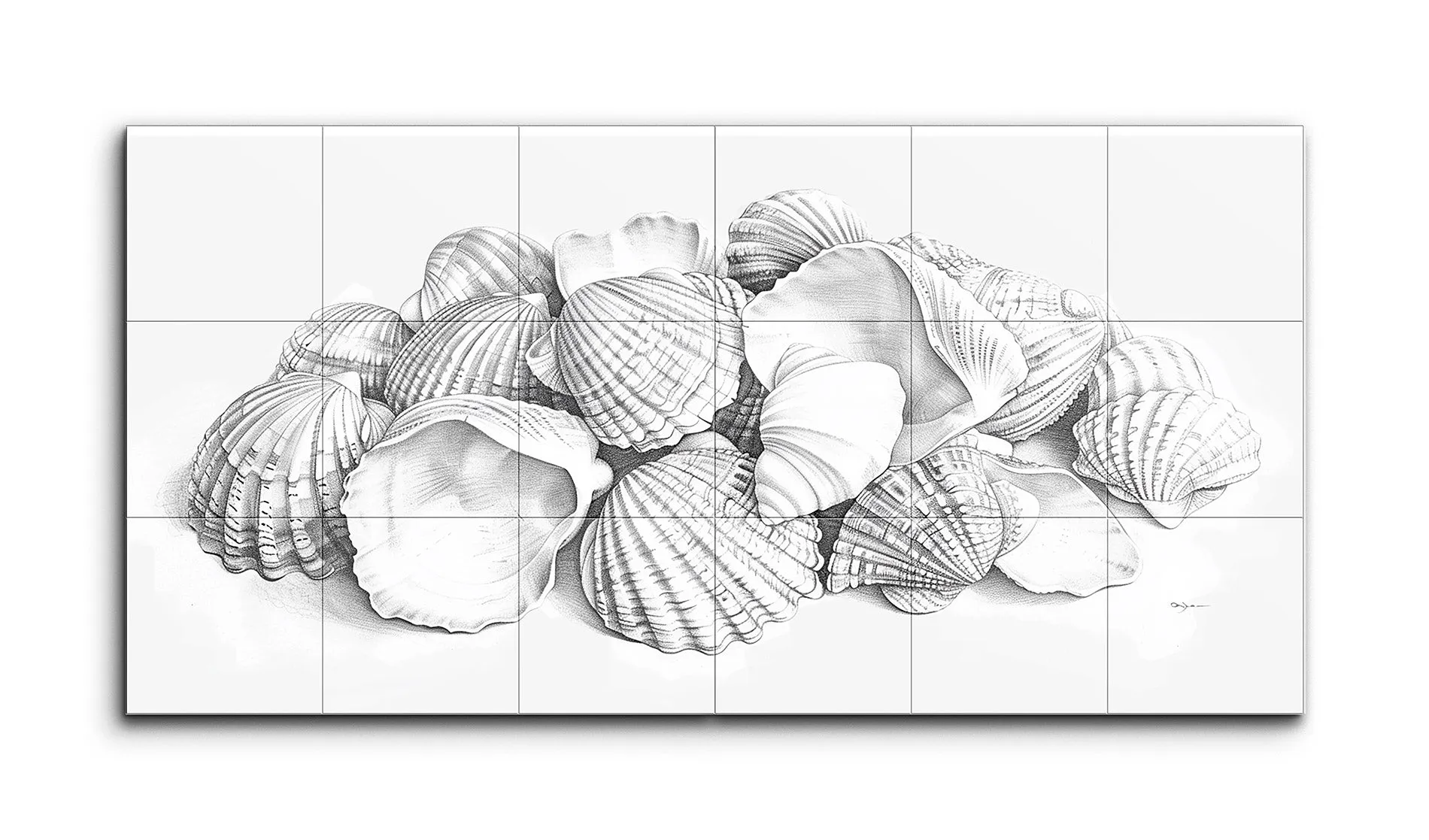 Seashell Symphony: Monochrome Diptych