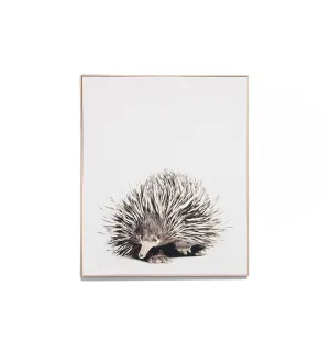 Short Beaked Echidna Framed Canvas Wall Art Print