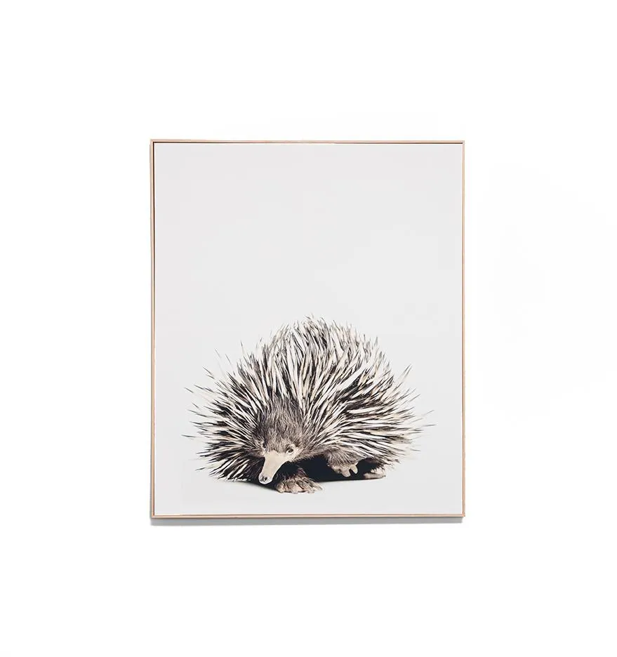 Short Beaked Echidna Framed Canvas Wall Art Print