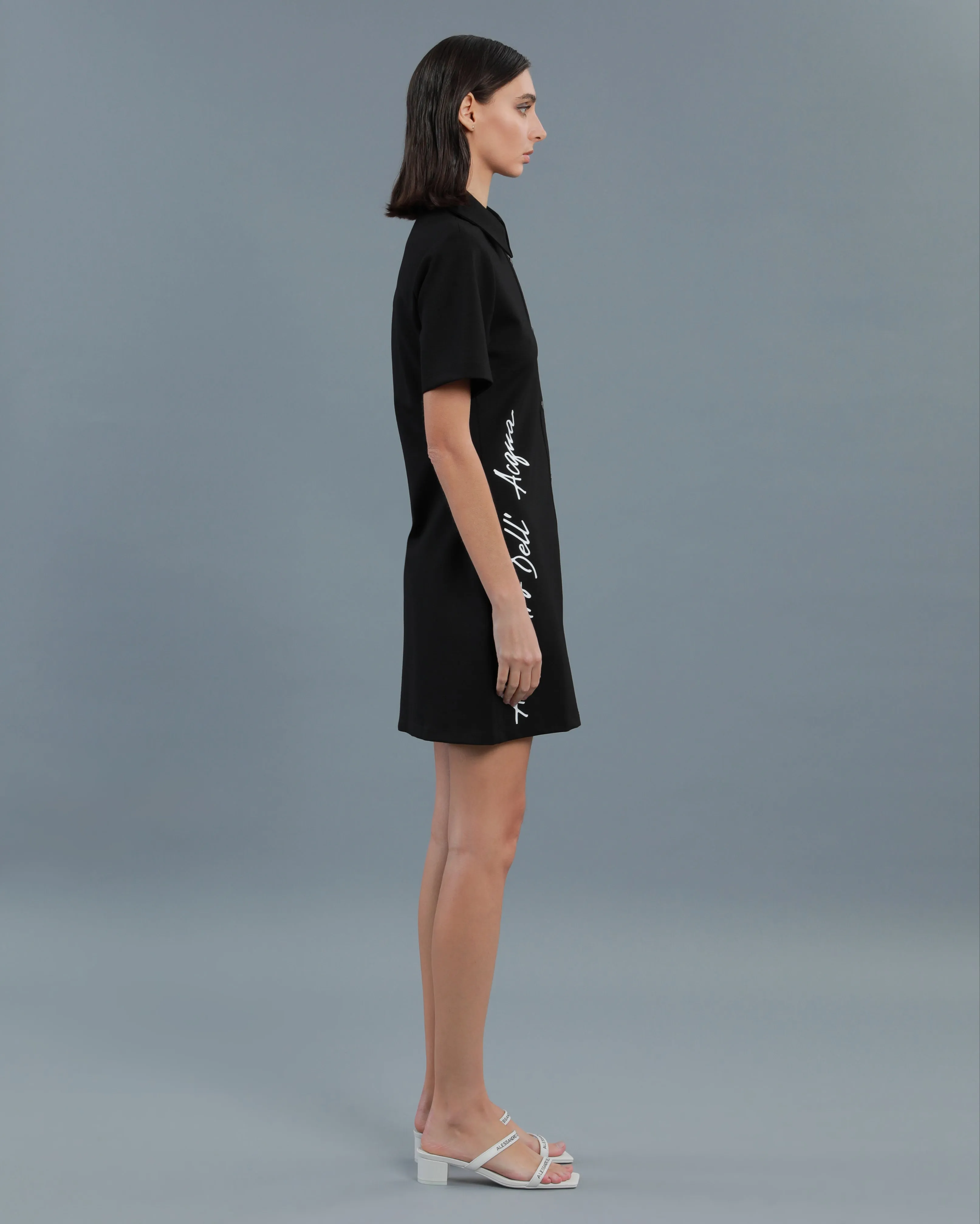 Signature Logo Shirt Dress
