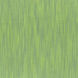 Space Dye Woven Pistachio