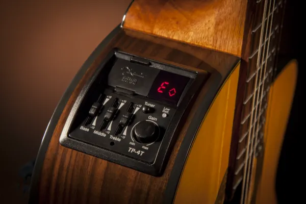 Takamine GC5CE-NAT