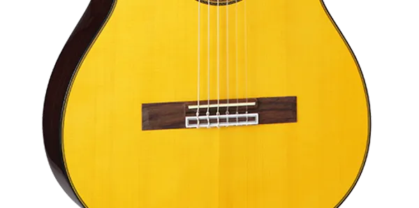 Takamine GC5CE-NAT